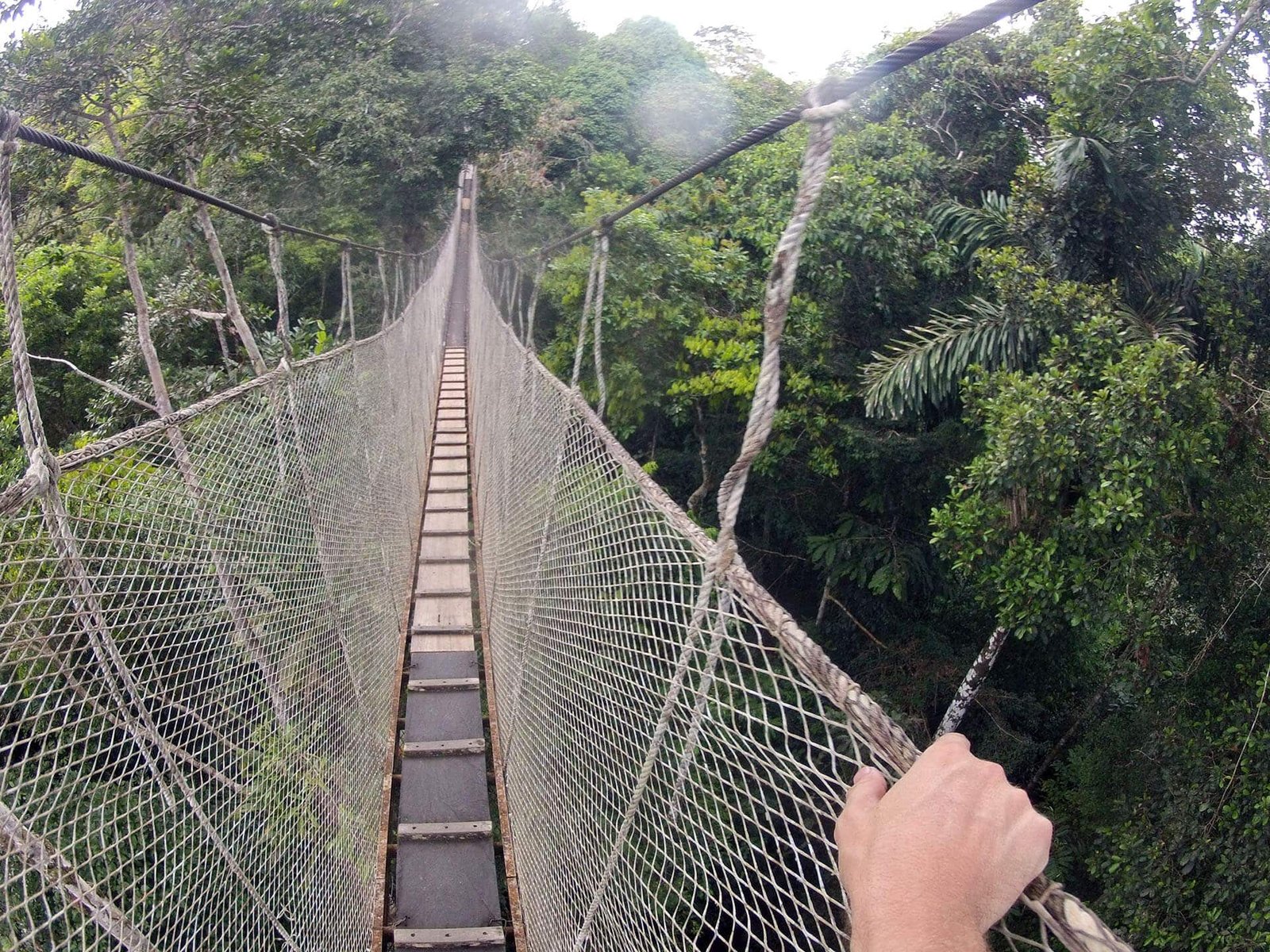 canopy-walk-opt