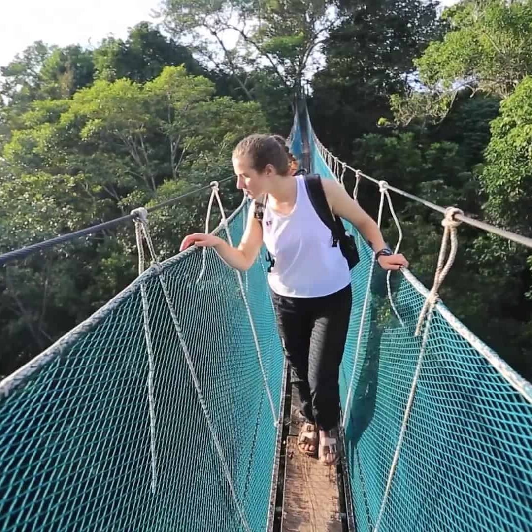 Canopy-Walkway-Iquitos-Peru-6