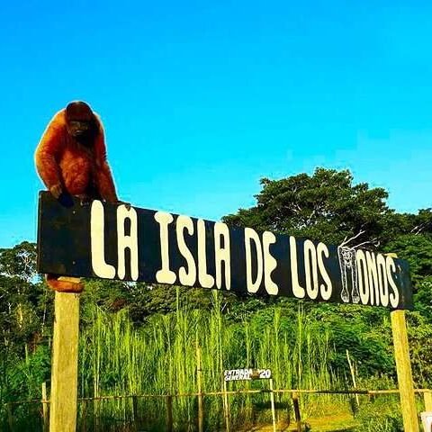 isla-de-los-monos-846f400ea5